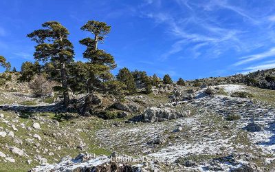 Trekking nel Parco Nazionale del Pollino: 8 escursioni tra i sentieri più belli