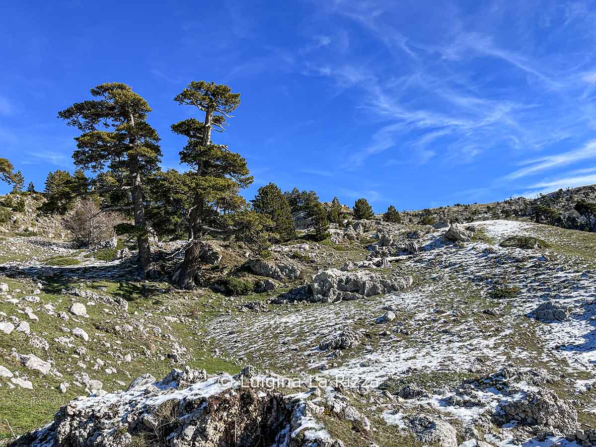 trekking escursioni pollino