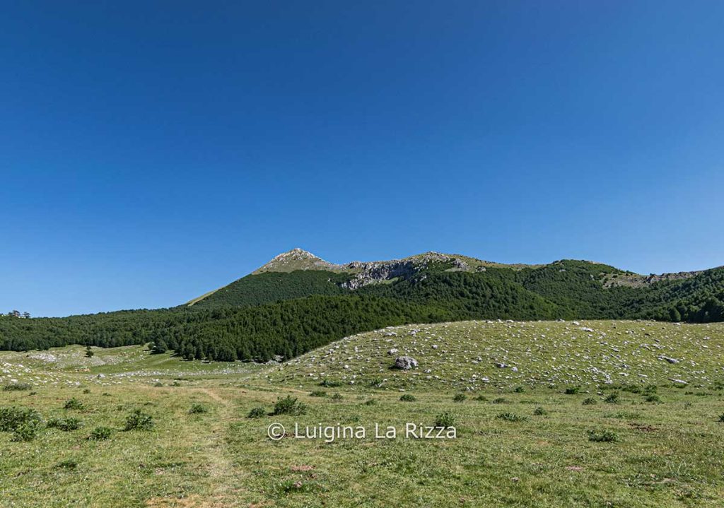 trekking pollino-serra dolcedorme